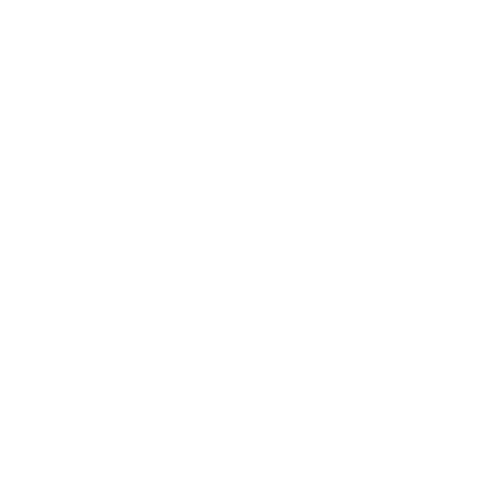Forgot Password Icon